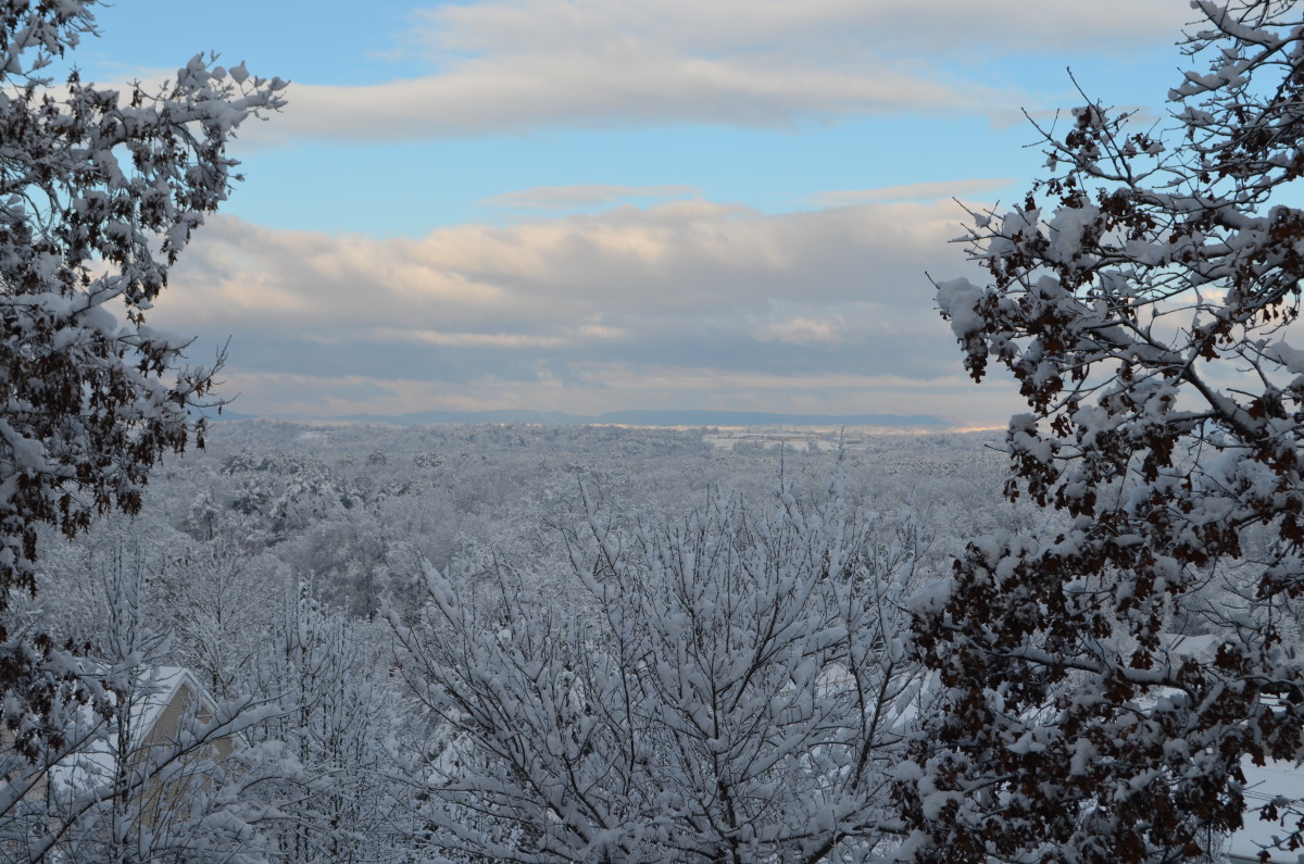 Winter View from Fuller's Ridge in Chattanooga